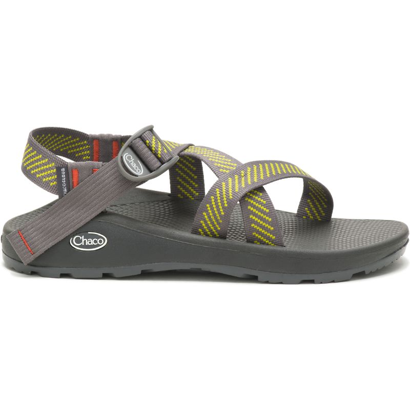 Chaco Z/Cloud Sandalen Herren Grau | 35698INFS