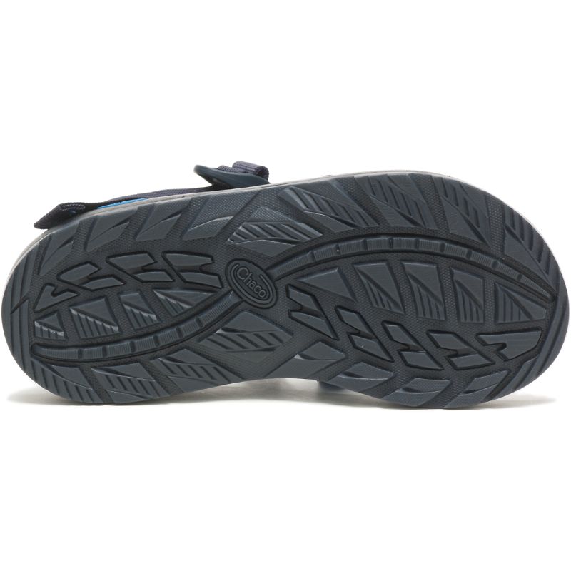 Chaco Z/1® Klassische Sandalen Herren Blau | 87193GVFU