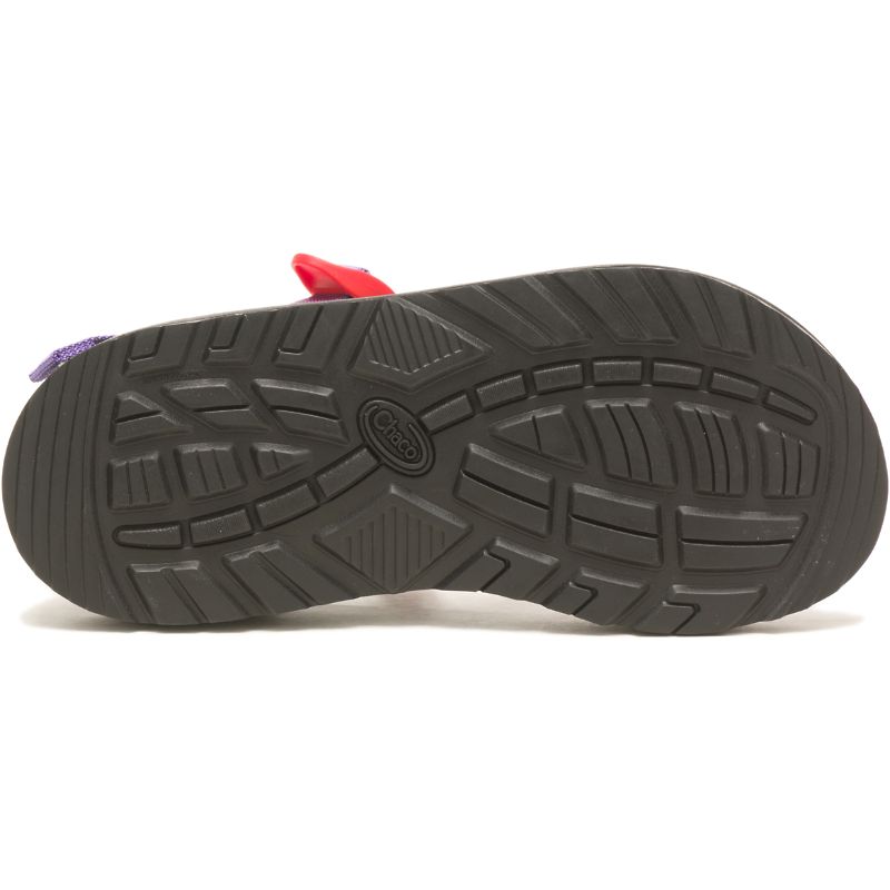 Chaco Z/2® Klassische Sandalen Herren Blau Rot | 87354SDLI