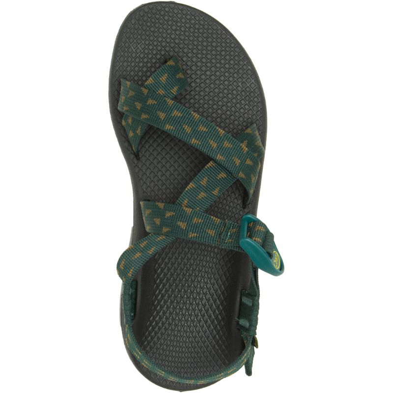 Chaco Z/Cloud 2 Sandalen Damen Grün | 75968IUQN