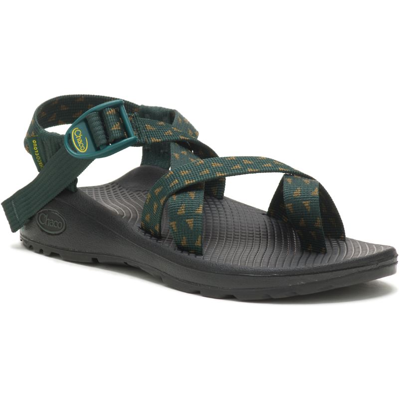 Chaco Z/Cloud 2 Sandalen Damen Grün | 75968IUQN