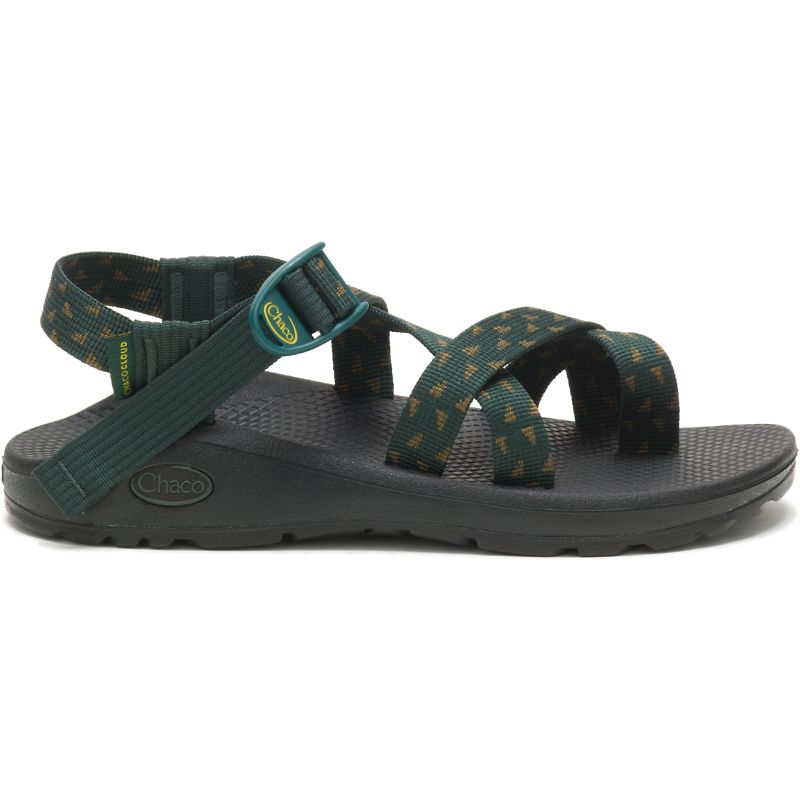 Chaco Z/Cloud 2 Sandalen Damen Grün | 75968IUQN