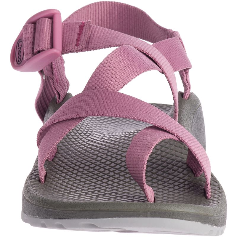 Chaco Z/Cloud 2 Sandalen Damen Rosa | 94352LCRI