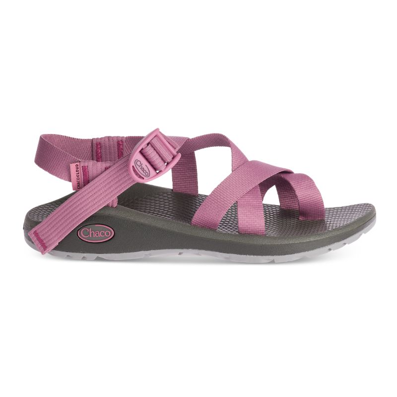 Chaco Z/Cloud 2 Sandalen Damen Rosa | 94352LCRI