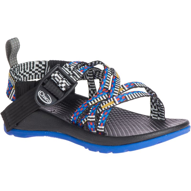 Chaco Zx/1 Ecotread™ Sandalen Kinder Blau Grau | 89704MBGQ